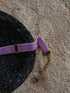 TIMELESS LION VELVET CHOKER